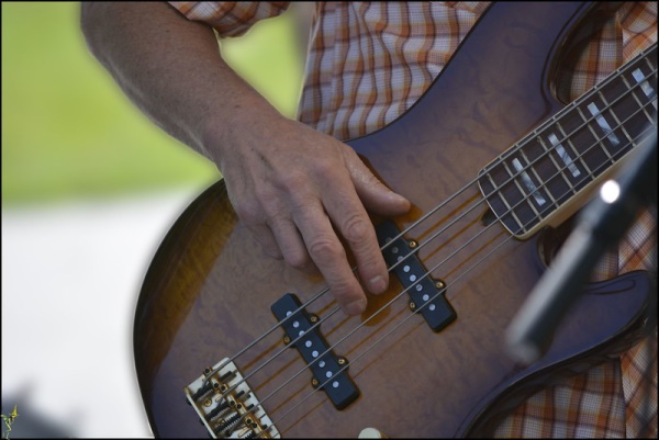 playing bass guitar vs cello