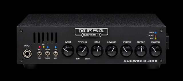 mesa subway D800 best amp for 5-string bass