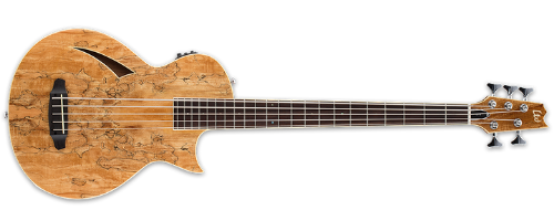 Thinline Fretless Series