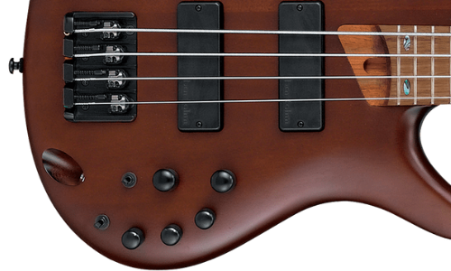 Ibanez vs Warwick bass: electronics