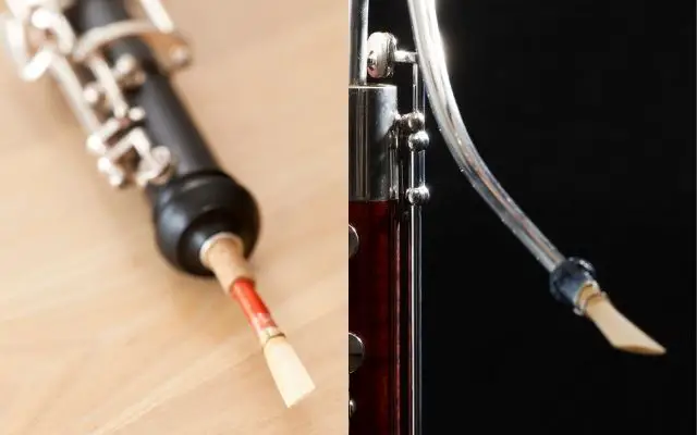Oboe vs Bassoon Reed